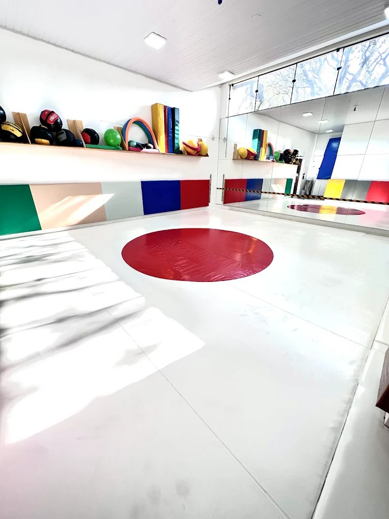 Sala exclusiva do Judô Fraldinha e Baby